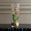 Uttermost Mariposa Orchid