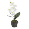 Uttermost Laris Orchid Drop-In