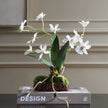 Uttermost Clovis Orchid Drop-In