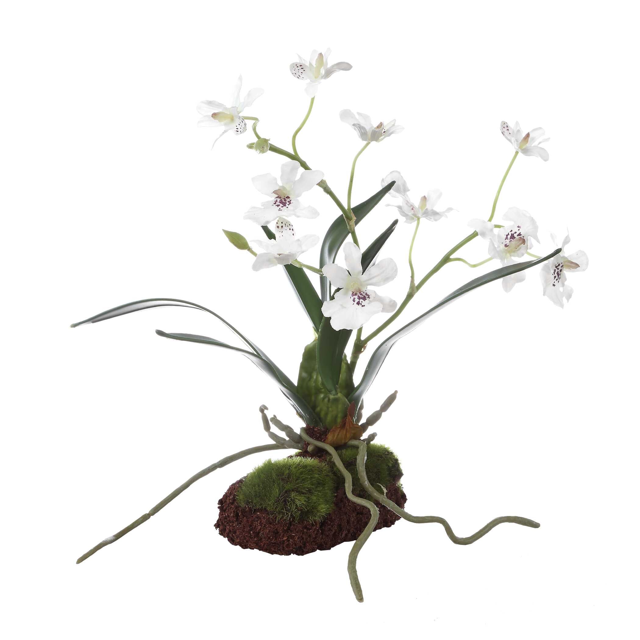 Uttermost Clovis Orchid Drop-In
