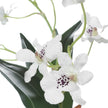 Uttermost Clovis Orchid Drop-In