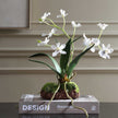 Uttermost Clovis Orchid Drop-In