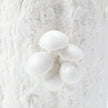 Villa & House Branch Vase by Bungalow 5