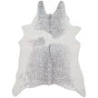 Loloi II Bryce BZ-02 Grey / Silver Rug