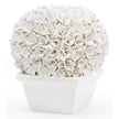 Villa & House Boston Round Boxwood Topiary by Bungalow 5