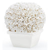 Villa & House Boston Round Boxwood Topiary by Bungalow 5