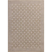 Amber Lewis Cali Taupe / Natural Rug DC10