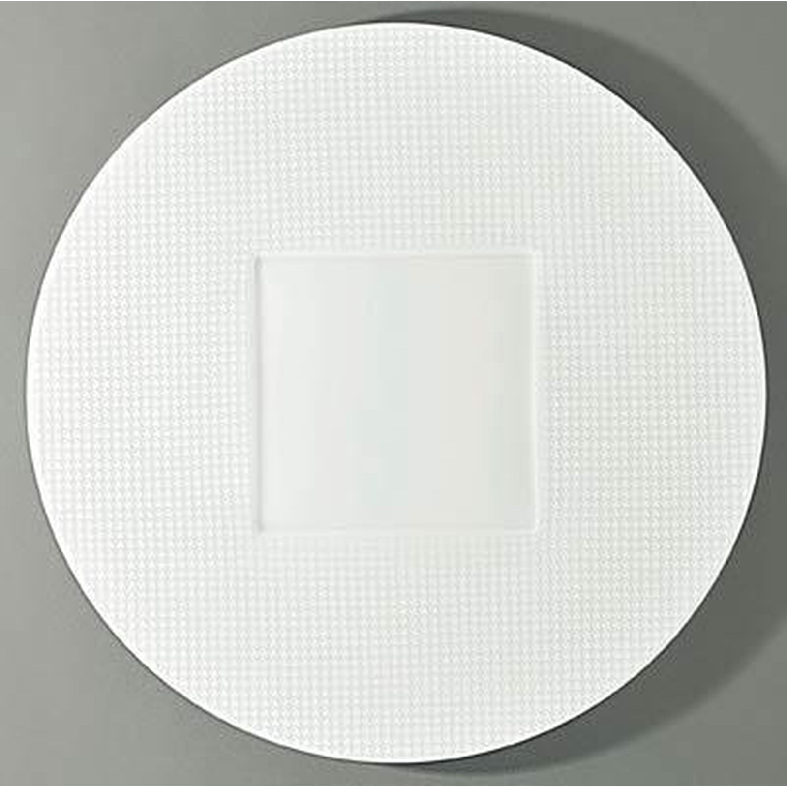 Raynaud Checks Round Buffet Plate Square Center
