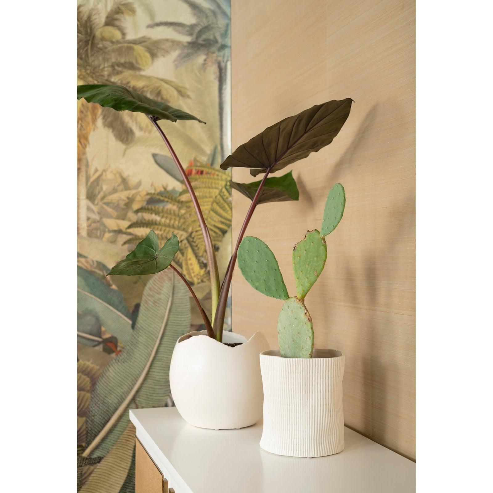 Villa & House Corum Cache Pot by Bungalow 5