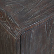 Uttermost Hausen 2 Door Mid-Century Cabinet
