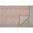 Feizy Colton 8792F Rug in Blush