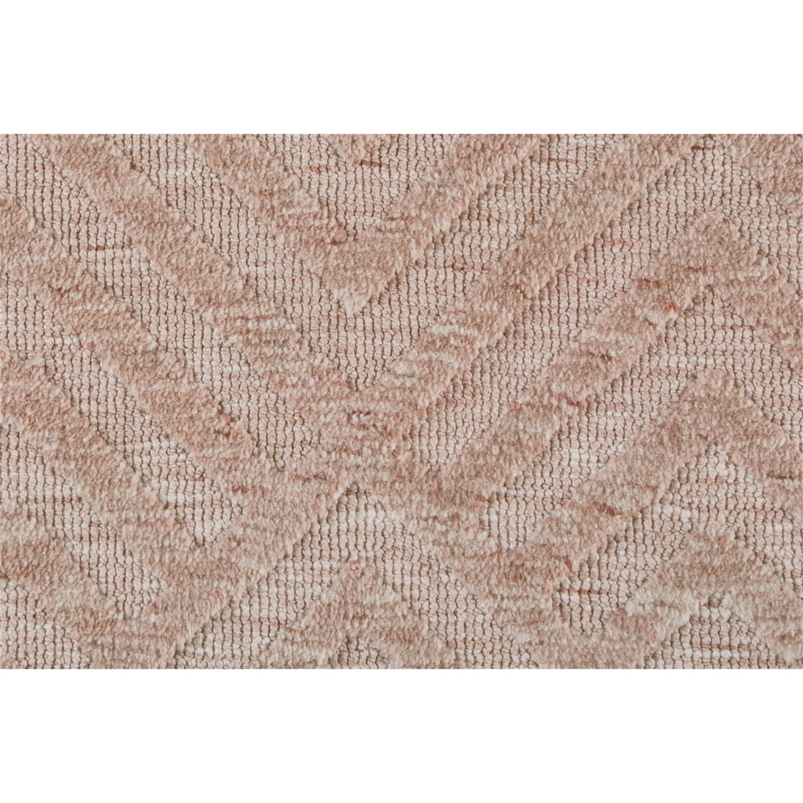 Feizy Colton 8792F Rug in Blush