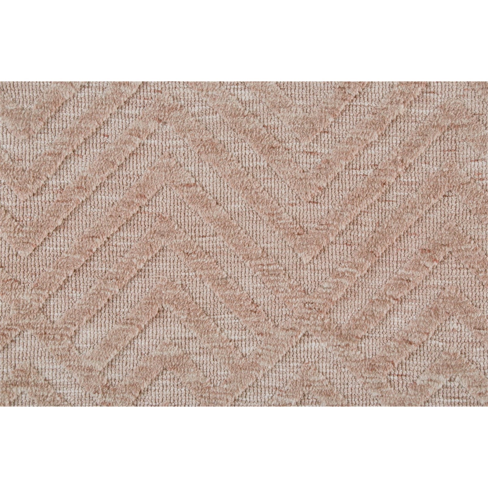 Feizy Colton 8792F Rug in Blush