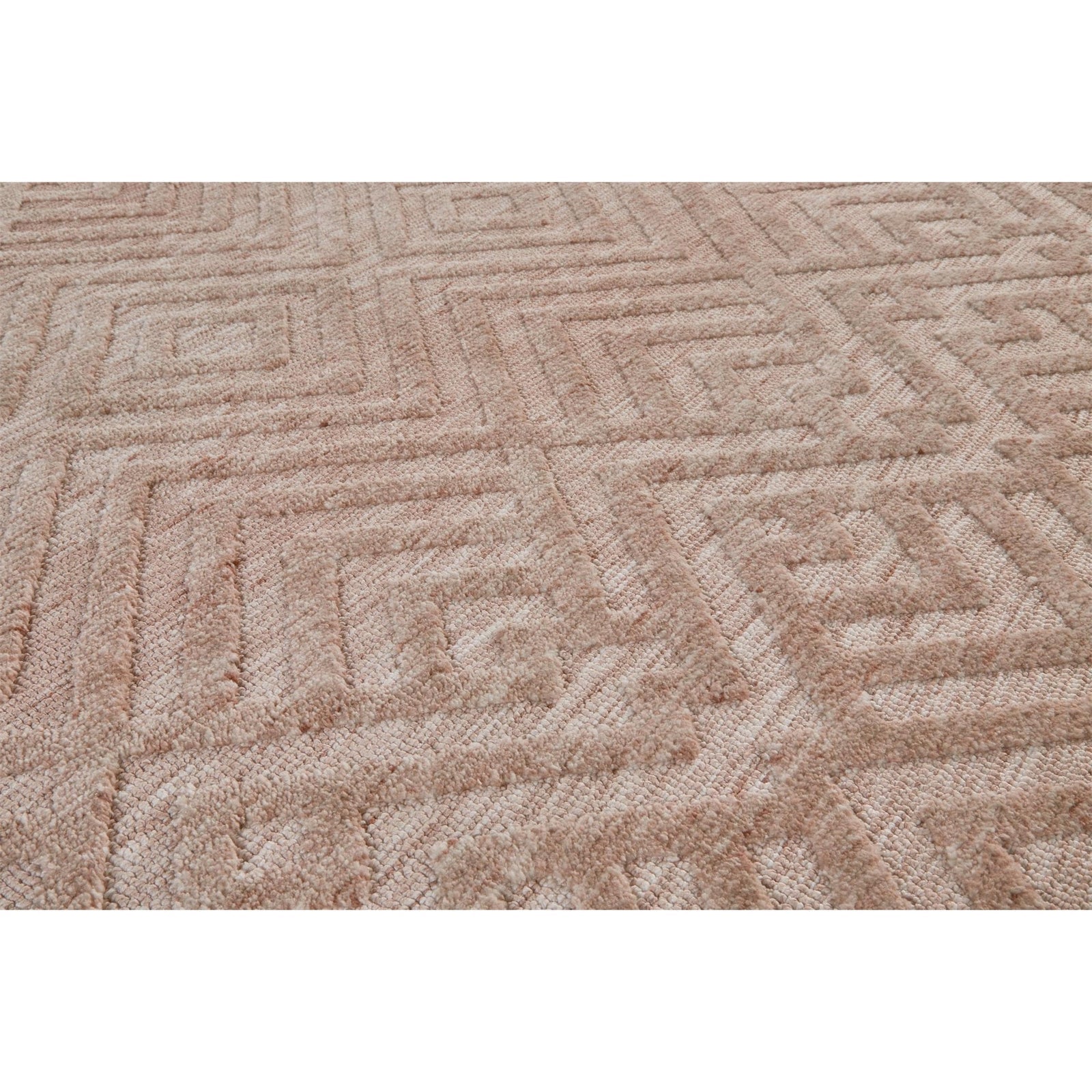 Feizy Colton 8792F Rug in Blush