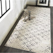 Feizy Micah 3047F Rug in Beige/Silver