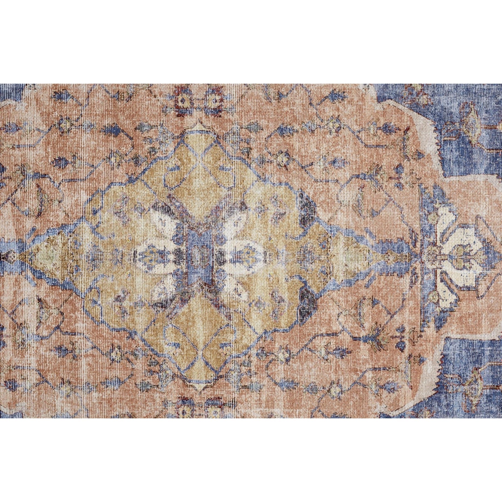 Feizy Percy 39APF Rug in Rust / Blue
