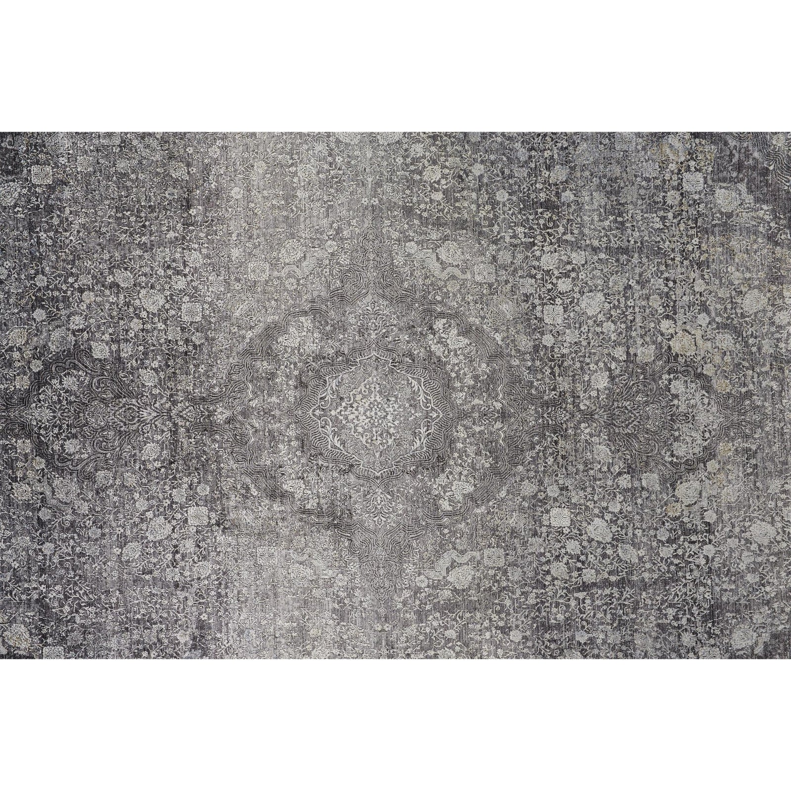 Feizy Sarrant 3967F Rug in Charcoal