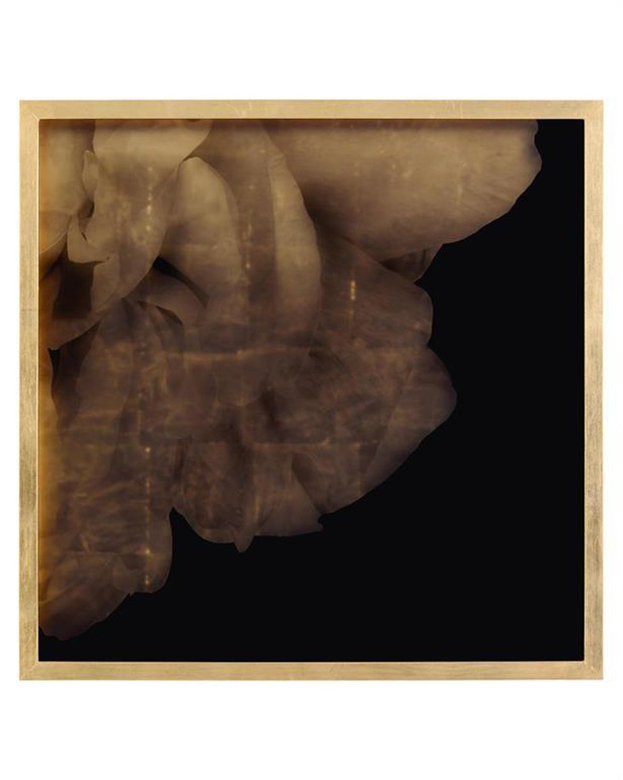 John Richard Mark Mcdowell'S Shi Hana Wall Art