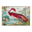 John Richard Vibrant Birds II