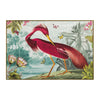 John Richard Vibrant Birds II