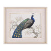 John Richard Decor Tim O'Toole's Peacock and Blossoms II