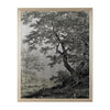 John Richard Decor Grand Oaks Silver I