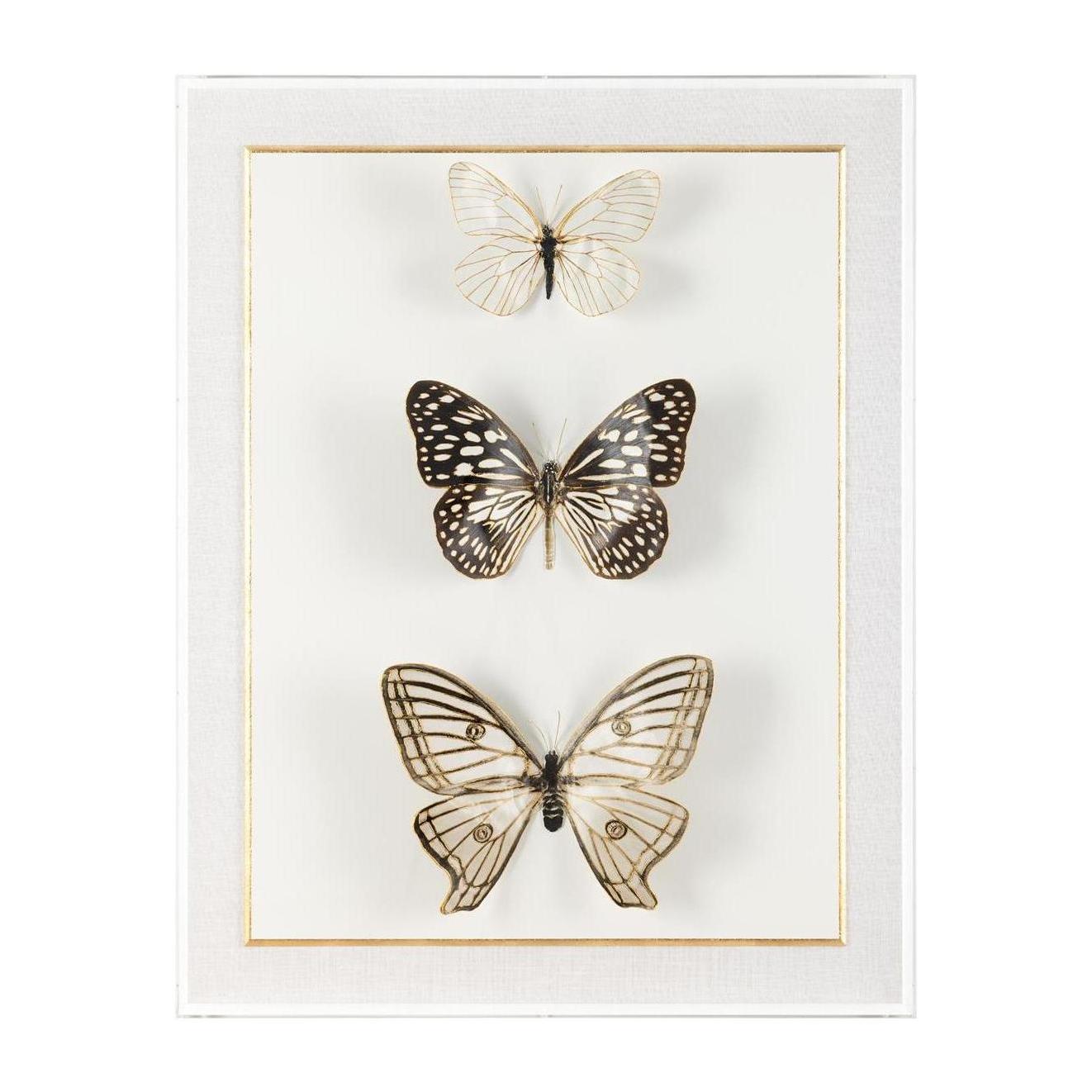 John Richard Decor Echoes of Change