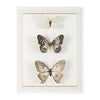 John Richard Decor Echoes of Change