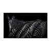 John Richard Decor Rodney Bursiel's Dazzle of Grevys