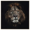 John Richard Rodney Bursiel's Mufasa