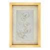 John Richard Porcelain Flora Wall Art IV