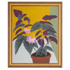 John Richard Michael Pfleghaar's Polka Dot Begonia