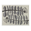 John Richard Michael Pfleghaar's Botanical Buddies