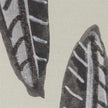 John Richard Michael Pfleghaar's Botanical Buddies
