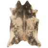 Loloi II Grand Canyon GC-13 Beige / Ash Rug