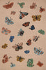 Rifle Paper Highgrove HIG-01 Rug Blush