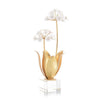 John Richard Allium Moly In Porcelain