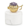 John Richard Decor Dionysus Box