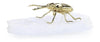 John Richard Decor Brass Beetle Sculpture on Selenite