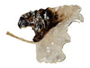 John Richard Decor Auburn Leaf Bowl
