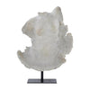 John Richard Decor Evolving Torso Sculpture I
