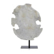 John Richard Decor Evolving Torso Sculpture II