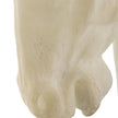 John Richard Stallion Bust on Marble