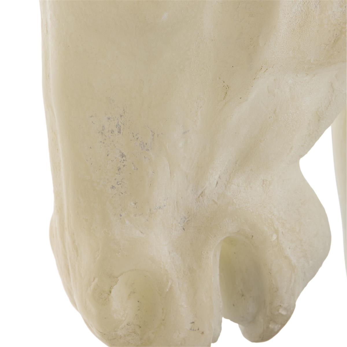 John Richard Stallion Bust on Marble