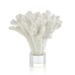 John Richard Coral Sculpture on Crystal