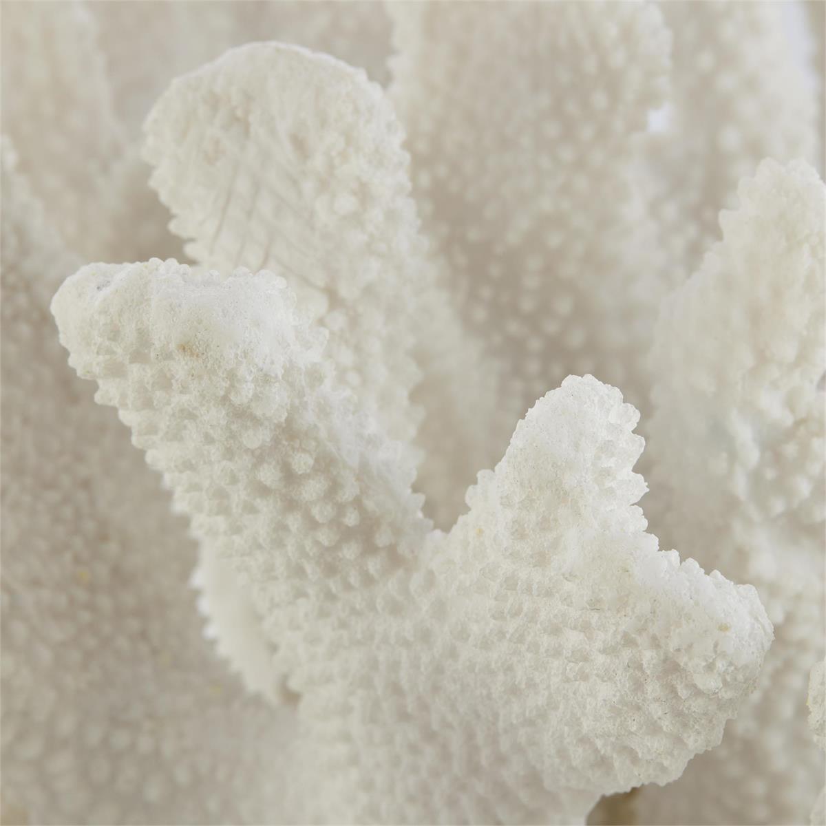 John Richard Coral Sculpture on Crystal