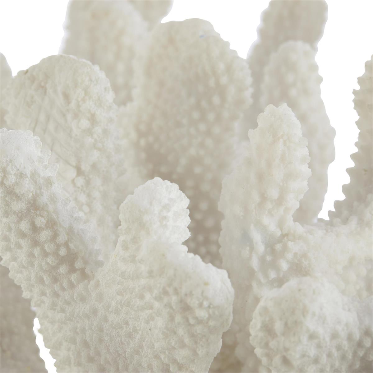 John Richard Coral Sculpture on Crystal