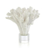 John Richard Coral Sculpture on Crystal