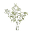 John Richard Aqua Fern