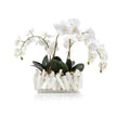 John Richard Selenite Orchids